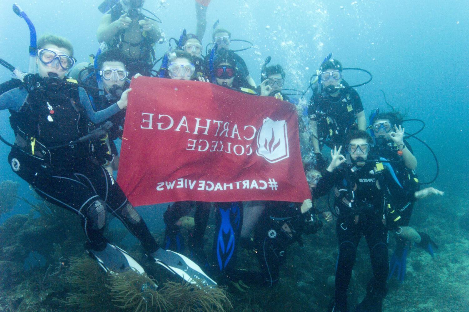 学生们手持<a href='http://010fvoc0.011918.com'>博彩网址大全</a>旗帜，在j学期洪都拉斯游学之旅中潜水.